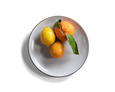 105-coupe-entree-plate